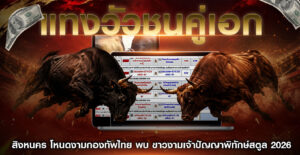 แทงวัวชน