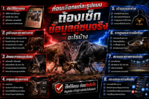 เช็กข้อมูลคู่ชน