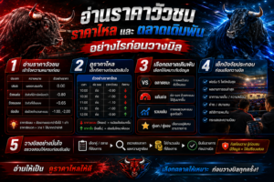 ราคาไหลวัวชน