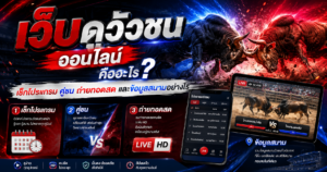 เว็บดูวัวชนออนไลน์