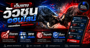 เว็บแทงวัวชนออนไลน์