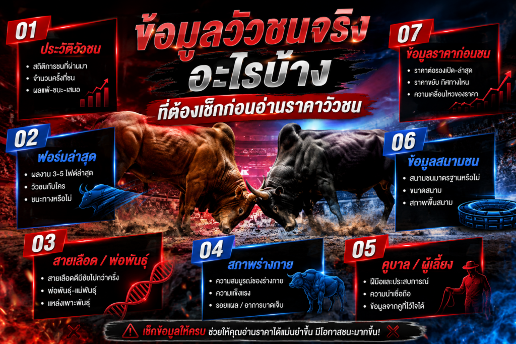 ข้อมูลวัวชน