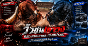 วัวชนเขาวงมีลักษณะเขาและเชิงอย่างไร