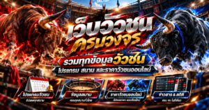 เว็บวัวชนครบวงจร