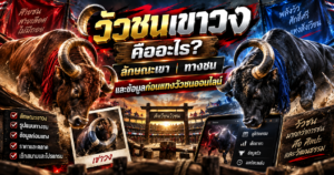 วัวชนเขาวง