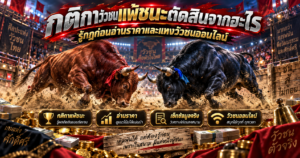 กติกาวัวชนแพ้ชนะ