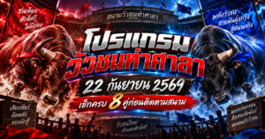 โปรแกรมวัวชนท่าศาลา
