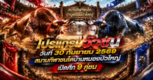 สนามบ้านหนองบัวใหญ่