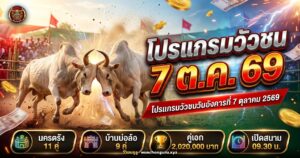 วัวชนสองตัวประจันหน้าในสนามดินเช้าวันชน พร้อมพาดหัวโปรแกรมวัวชน 7 ต.ค. 69