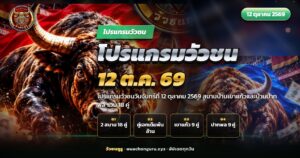 วัวชนสองตัวประจันหน้ากันกลางสนามดิน ประกอบโปรแกรมวัวชน 12 ตุลาคม 2569
