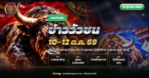 วัวชนสองตัวประจันหน้ากลางสนามดินในข่าววัวชน 10–12 ตุลาคม 2569