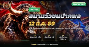 วัวชนสองตัวประจันหน้ากันในสนามดินสนามกีฬาชนโคบ้านปากพล