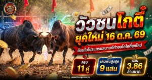 วัวชนสองตัวประจันหน้ากลางสนามดินในภาคใต้ ภาพปกโปรแกรมโกตี๋ยุคใหม่ 16 ตุลาคม 2569