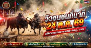 วัวชนสองตัวดันหัวกันกลางสนามดิน มีนาฬิกาจับเวลาเบลออยู่ข้างสนาม ภาพปกสถิติวัวชนชนกันกี่นาที