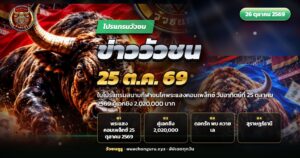 วัวชนสองตัวเผชิญหน้ากลางสังเวียนดิน ประกอบข่าววัวชนล่าสุดใบโปรแกรมพระแสงคอมเพล็กซ์ 25 ตุลาคม 2569