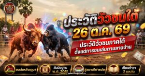 วัวชนสองตัวเผชิญหน้ากันบนลานดินข้างทุ่งนา ประกอบบทความประวัติวัวชนภาคใต้