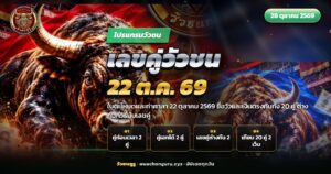 วัวชนสองตัวยืนเผชิญหน้ากลางลานดิน ข้างภาพมีใบโปรแกรมวัวชนวางเทียบกันสองใบ
