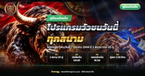 โปรแกรมวัวชนวันนี้ วัวชนสองตัวยืนเผชิญหน้ากลางสนามดินภาคใต้