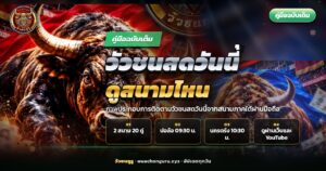 แฟนวัวชนดูไลฟ์วัวชนสดวันนี้บนมือถือ ฉากหลังเป็นสนามชนโค
