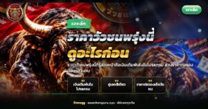 คนดูใบโปรแกรมวัวชนบนโทรศัพท์ยามค่ำคืนก่อนวันชน