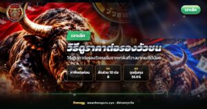 วัวชนสองตัวตั้งท่าเข้าหากันในสนามดินพร้อมพาดหัววิธีดูราคาต่อรองวัวชน