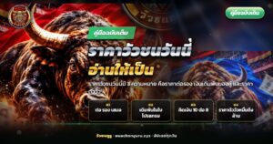 วัวชนสองตัวยืนเผชิญหน้ากันกลางสนามดินพร้อมพาดหัวราคาวัวชนวันนี้