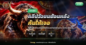 โทรศัพท์มือถือที่เปิดคลิปวัวชนกำลังชนกันในสนาม ประกอบบทความคลิปวัวชนย้อนหลัง