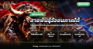 วัวชนภาคใต้สีโหนด นิล และลังสาด ยืนเรียงกันในลานดิน