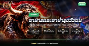 วัวชนกินหญ้าสดข้างตะกร้าไข่ไก่ กล้วย และมะพร้าวอ่อน