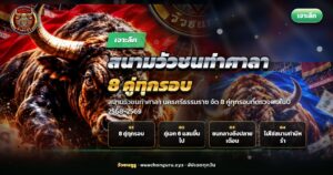 สนามวัวชนท่าศาลา วัวนิลกับวัวโหนดเผชิญหน้ากันก่อนเริ่มชน