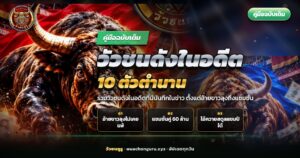 วัวชนดังในอดีตสองตัวยืนประจันหน้ากันกลางสนามชนโคภาคใต้