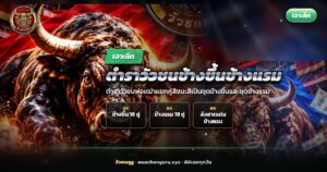 วัวชนสีลังสาดใต้ดวงจันทร์ ประกอบบทความตำราวัวชนข้างขึ้นข้างแรม